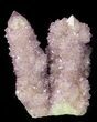 Cactus Quartz (Amethyst) Crystal - South Africa #44788-1